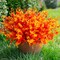 12PCS Artificial Fall Eucalyptus Plants – UV-Resistant Faux Orange Boxwood Bundles for Outdoor & Indoor Porch, Patio, Garden, Planter Décor (Orange Eucalyptus)